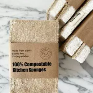 biodegradable kitchen sponge
